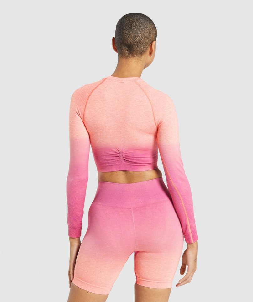 Women's Gymshark Adapt Ombre Seamless Long Sleeve Cropped Tops Pink | CA 6N138D